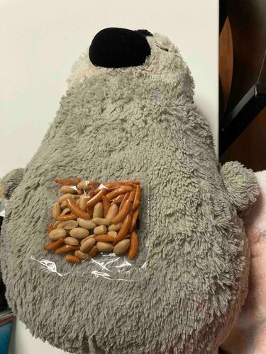 お腹におやつを置くのはやめてちょうだい！

なんかカサカサするわ！！