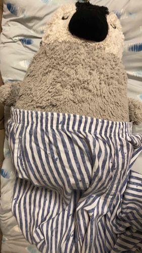 …なんか、履かされたわ…