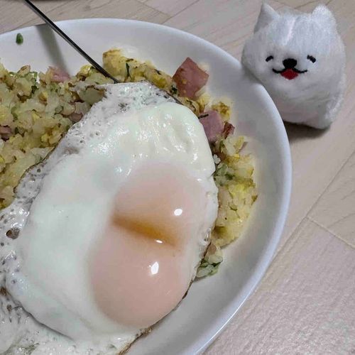 新入りわんこと黄身がふたつの目玉焼き🍳