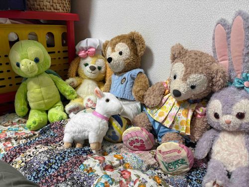 人間がしんせいかつをはじめた！
