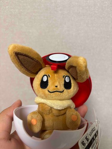 イーブイ　を　ゲット　した！