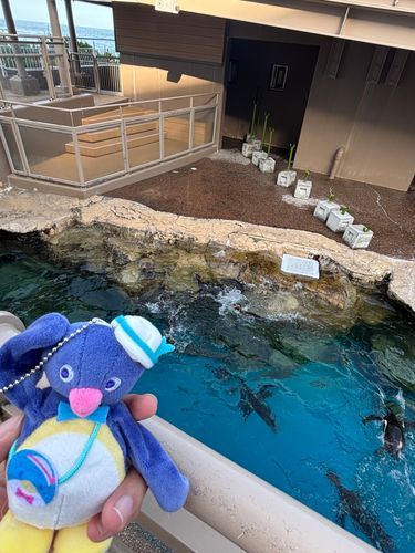 なかまとも会ってきたよ