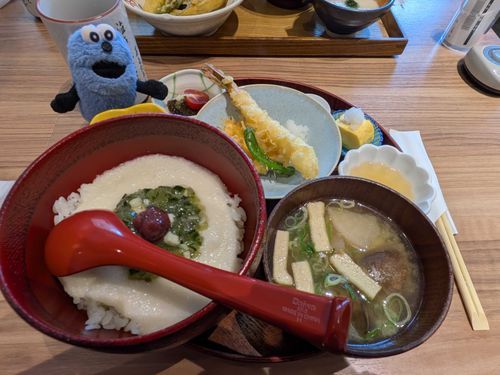 美味しいとろろご飯を食べました！
山形のだしと練り梅が乗ってて、あっさり食べられました！