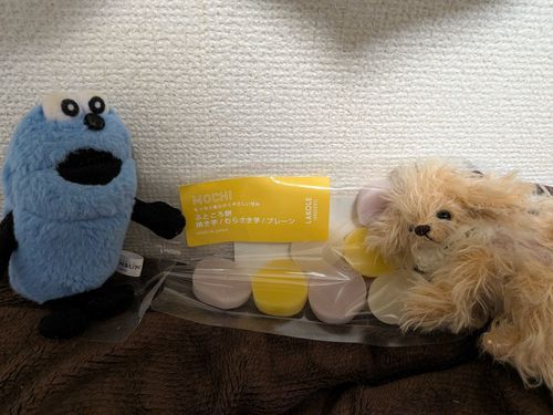 飼い主には怒ってたけど、チャパとは仲良しだよ！
ふところ餅再び…！
今度は違う味にしてみたよ！これも美味しいね、チャパ！
