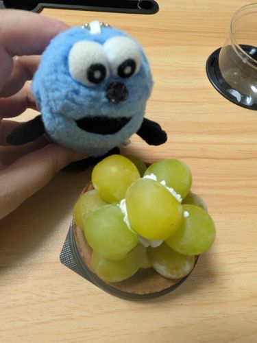 シャインマスカットのタルトです！
なんと他のお菓子いっぱい買ったら、お店の人がおまけでくれました！
程よい甘さでとっても美味しかったです！