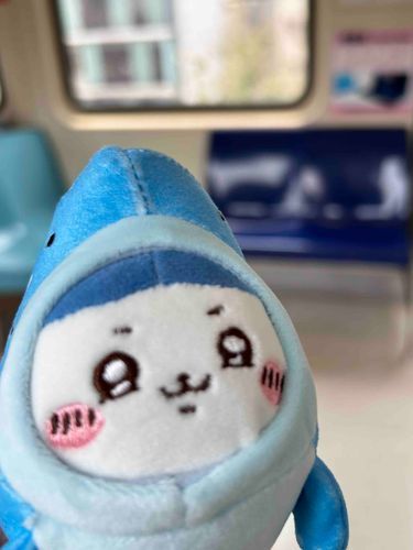 ( ˙꒳​˙  )