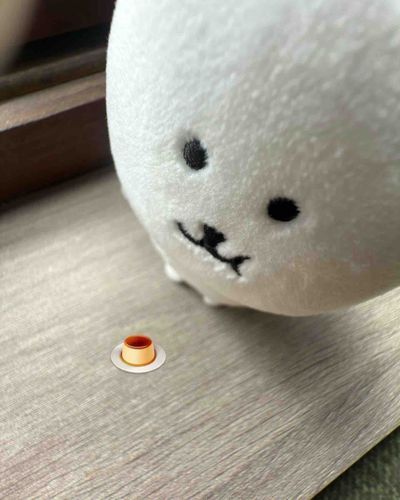 🍮