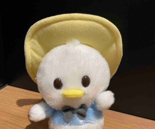 ドナルド・フォントルロイ・ダックのうるぽちゃちゃんです！