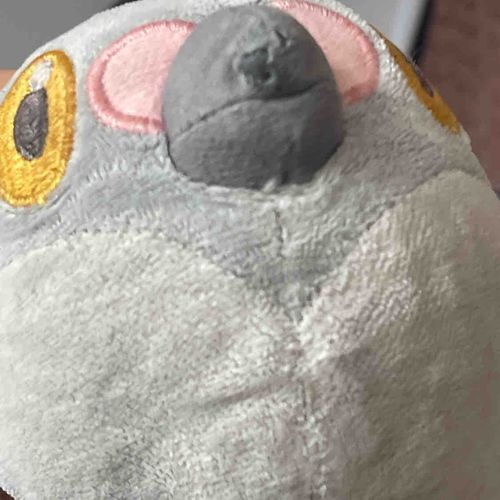そろそろ風呂