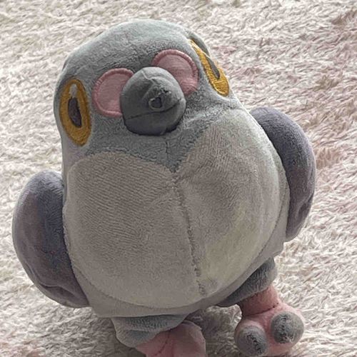 就活(内定)