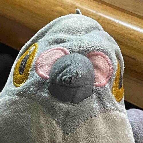 わあ