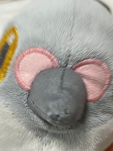 たいあたり