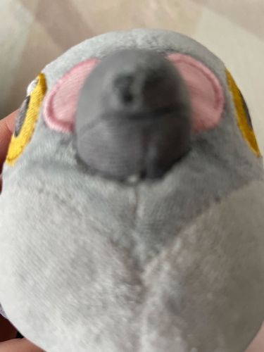 おっすおっす
