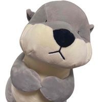 かわさき
