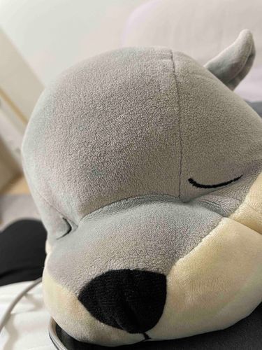 ぴょこんとしたみみが じまん