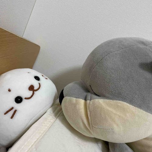 ふむふむ　なるほど