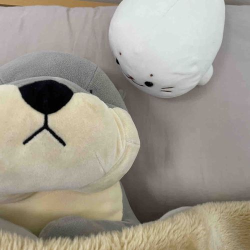 うるさくて    ねれません