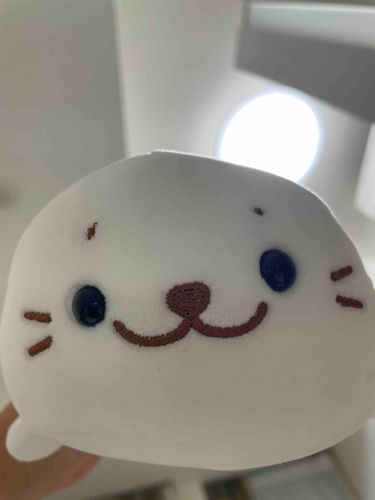 うちの美人すぎるしろたん先生みて