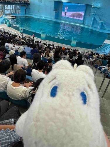 せいうち だいにんき な