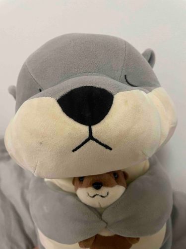ここ数日かわさきがうれしそうです