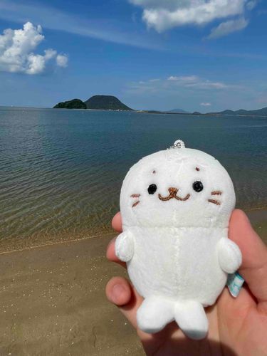 しろたん、海だよ