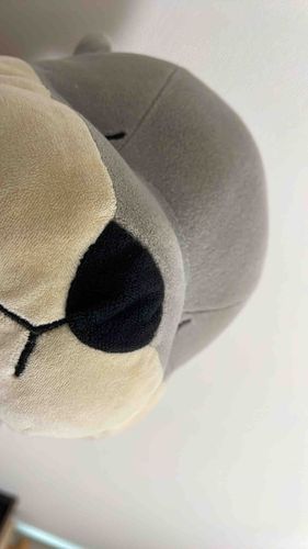 おたがい としをとったね