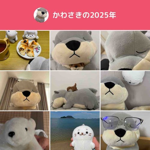 2025ねんも　ありがとう

らいねんは　みぎほほの　しみを　とりたい　かいぬし　たのむ