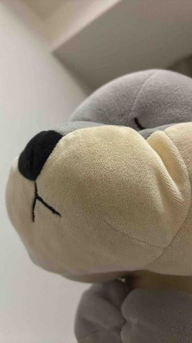おれは　よこがおびかわうそ