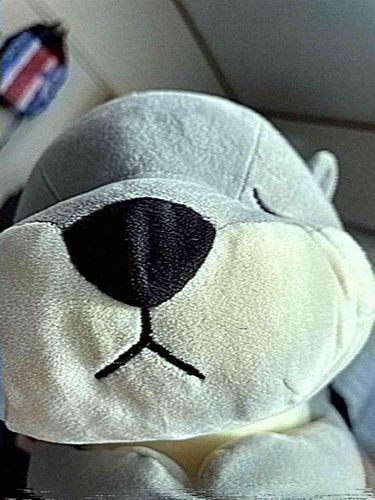 へいせい　な　かわさき