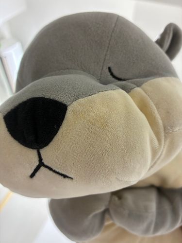 ぜろきょり　という　らしい