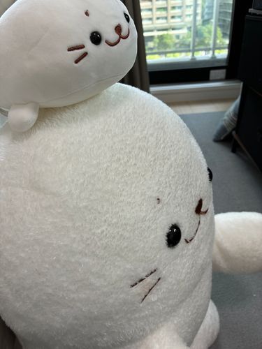 しろたんとVIVANT履修