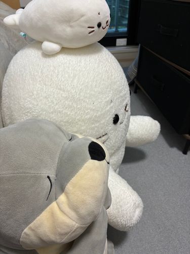 かわさき、見たいのは分かったけどまず起きてね
