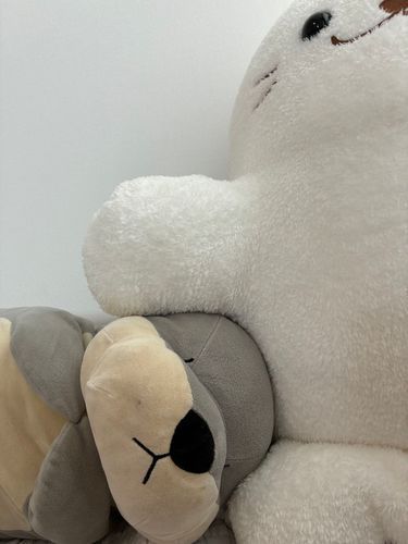 しろたんはさまりクラブ
