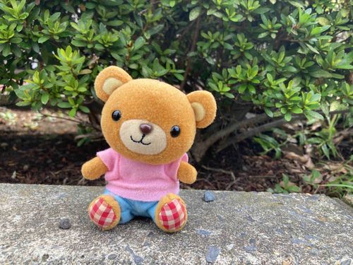 近所をお散歩🐻️