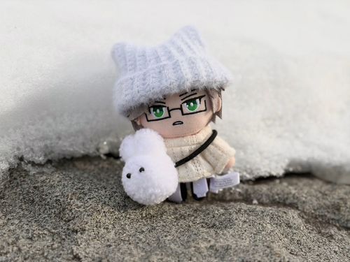 かいぬしに養われているじゅとぬいの三男
