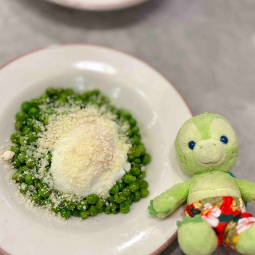 ぼく、やわらか青豆じゃないよ〜🟢