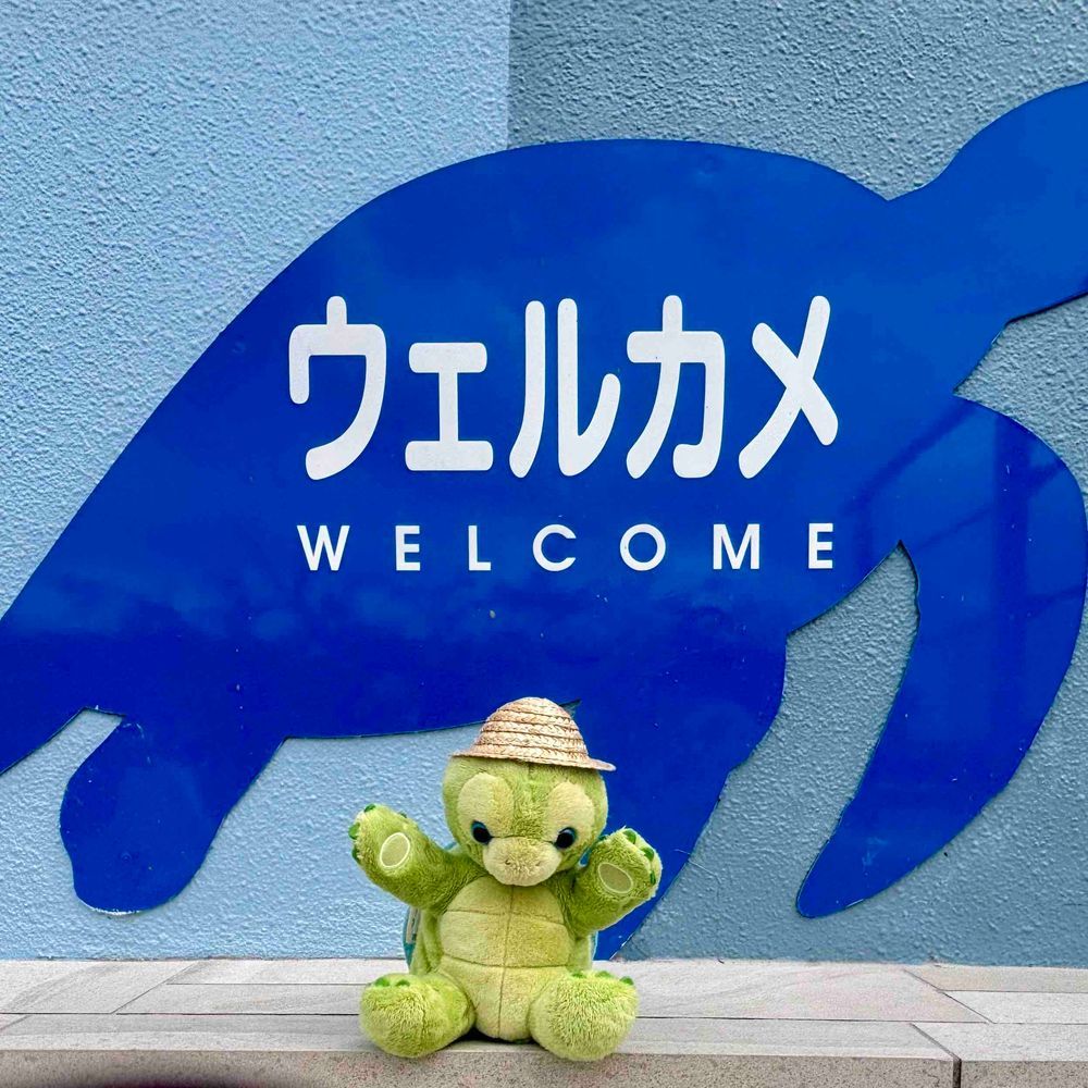 のっけ丼のあとは、あさむしすいぞくかんへゴー🐢💨
はいったしゅんかんにおっきいカメさんがおでむかえしてくれたよ❣️
ぼくのはなしをめをみてうんうんってきいてくれたんだ💓やさしいカメさんだったなぁ💭