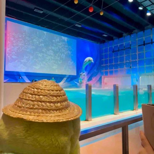 あさむしすいぞくかんでいちばんかんどうしたのはイルカショーだよ🐬
はいってすぐにいちばんまえのれつでみたんだけどね、なんだかそうだいなかんじでかんどうしちゃったから、さいごにもういっかいみちゃった🙈💕
はじまるまえに「ここるちゃん」のおうたがあってね、みんなで拍手するの、たのしかったなあ〜👏