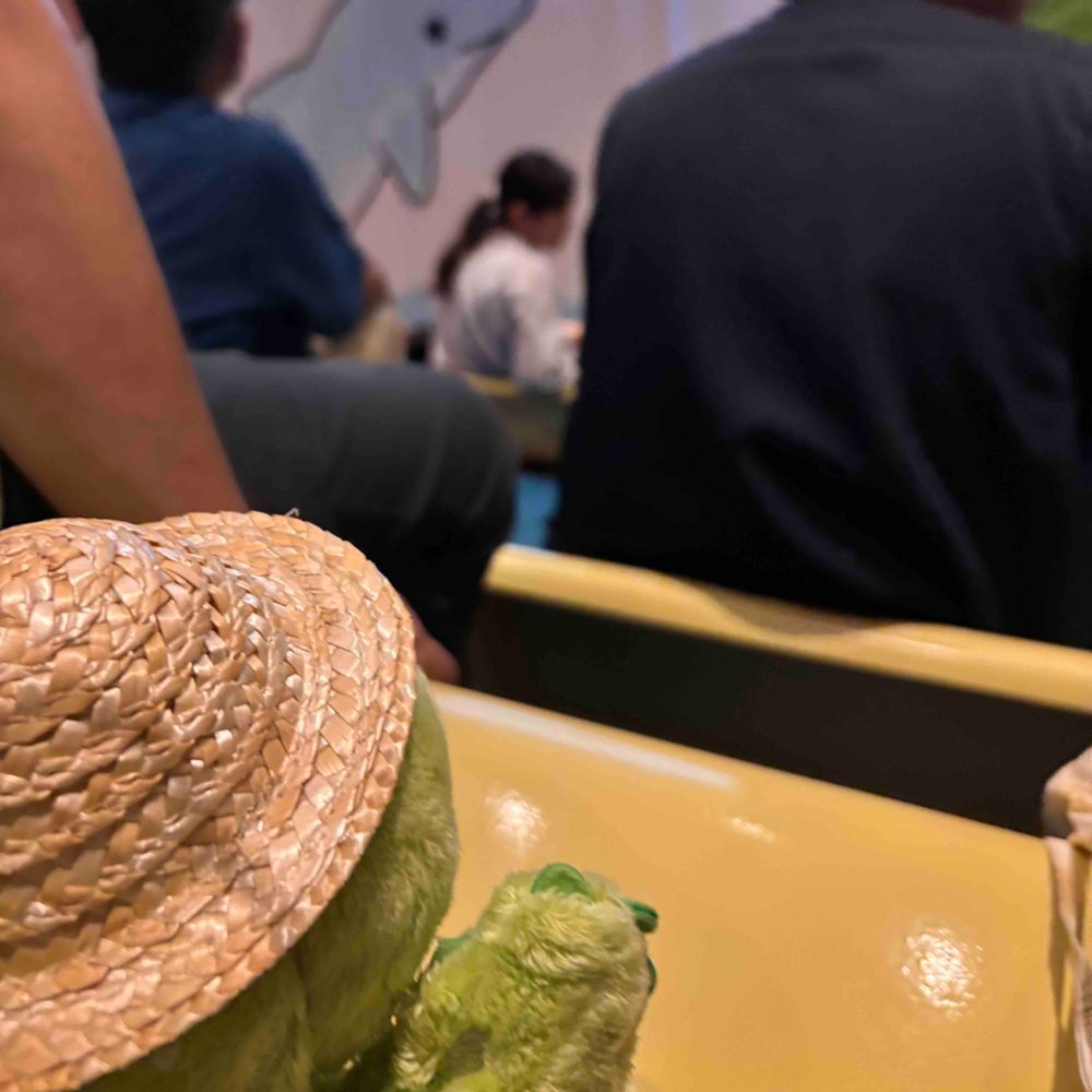 あさむしすいぞくかんでいちばんかんどうしたのはイルカショーだよ🐬
はいってすぐにいちばんまえのれつでみたんだけどね、なんだかそうだいなかんじでかんどうしちゃったから、さいごにもういっかいみちゃった🙈💕
はじまるまえに「ここるちゃん」のおうたがあってね、みんなで拍手するの、たのしかったなあ〜👏