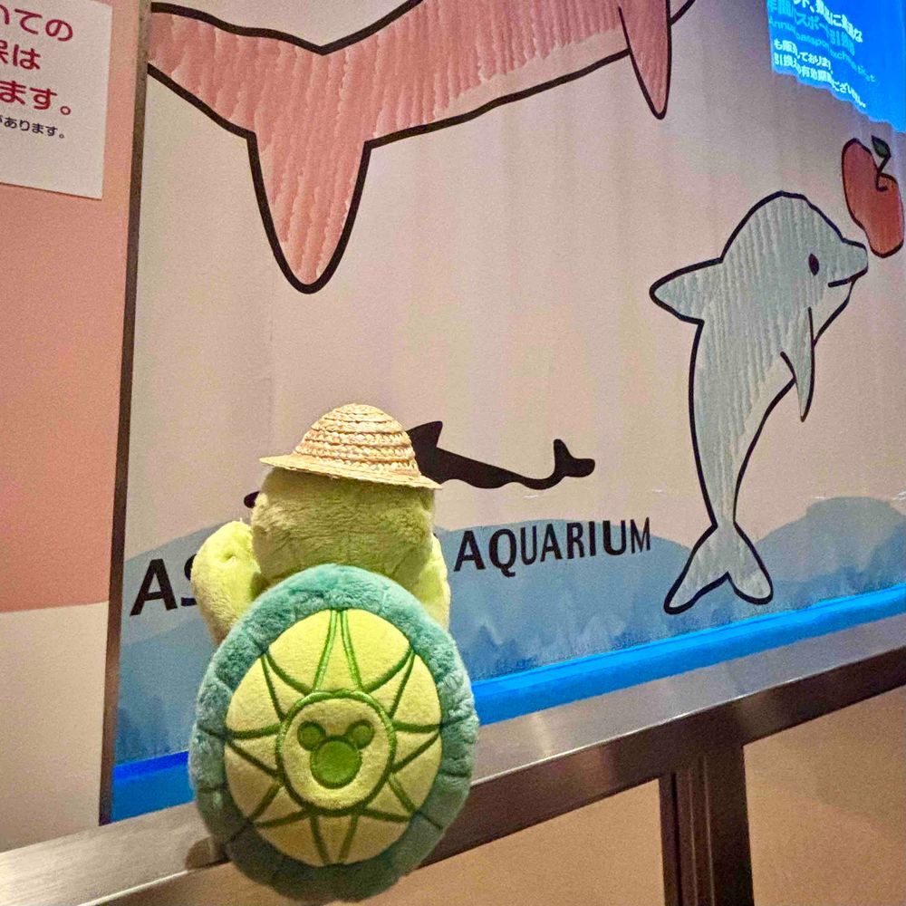 あさむしすいぞくかんでいちばんかんどうしたのはイルカショーだよ🐬
はいってすぐにいちばんまえのれつでみたんだけどね、なんだかそうだいなかんじでかんどうしちゃったから、さいごにもういっかいみちゃった🙈💕
はじまるまえに「ここるちゃん」のおうたがあってね、みんなで拍手するの、たのしかったなあ〜👏