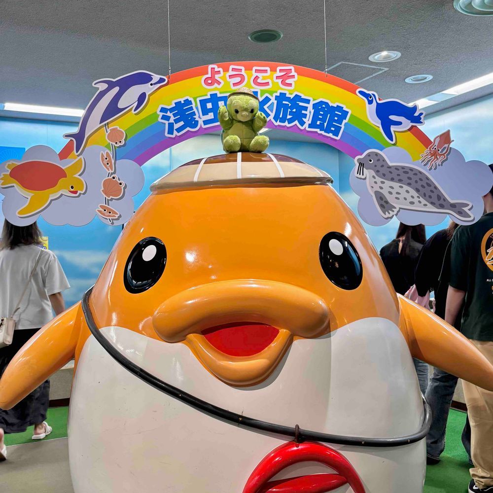 あさむしすいぞくかんでいちばんかんどうしたのはイルカショーだよ🐬
はいってすぐにいちばんまえのれつでみたんだけどね、なんだかそうだいなかんじでかんどうしちゃったから、さいごにもういっかいみちゃった🙈💕
はじまるまえに「ここるちゃん」のおうたがあってね、みんなで拍手するの、たのしかったなあ〜👏
