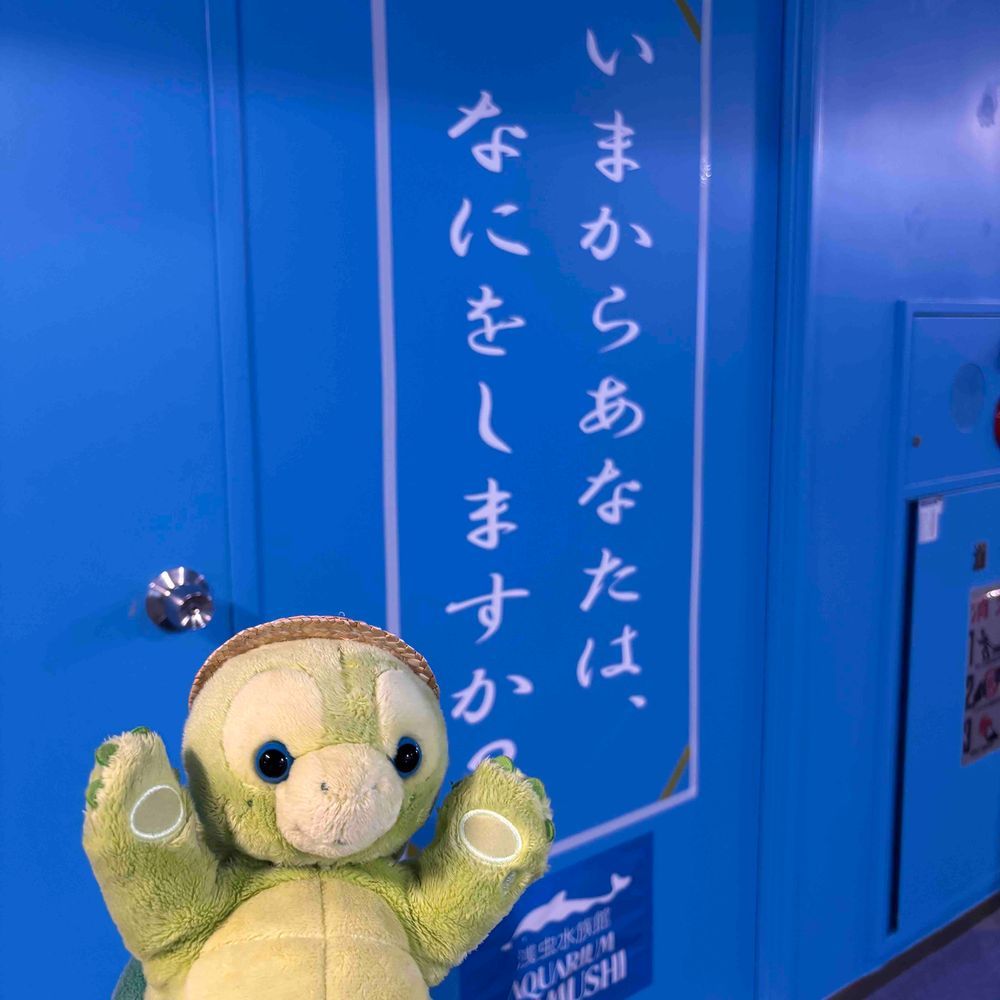 ぼくはかんだりさしたりしないよ〜🐢💕
すいぞくかんのSDGs？をしょうかいするコーナーにこわいカメさんがかかれてたよ〜💦