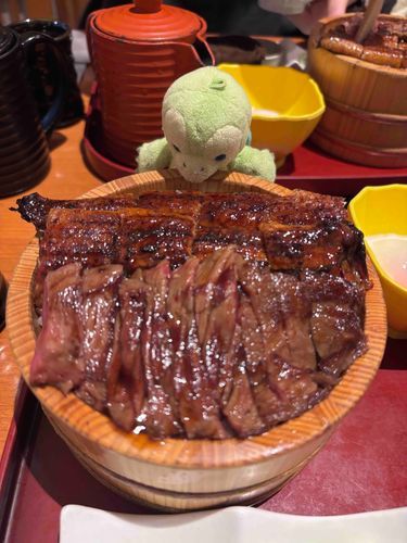 うなぎとにくのひつまぶしのまちにやってきたぞ〜‼️うお〜‼️