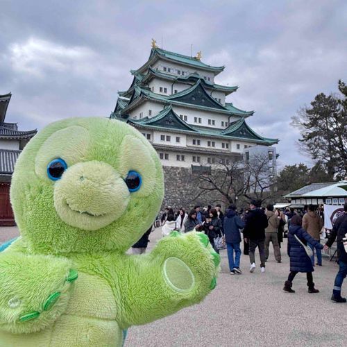 みなさまごらんください🤚みぎてにみえますのが、きんぴかしゃちほこがのったなごやじょう🏯、ひだりてにみえますのが、なごやじょうのいしがきけんせつのしきをとったとされる、かとうきよまさこうのどうぞうでございます🐢
