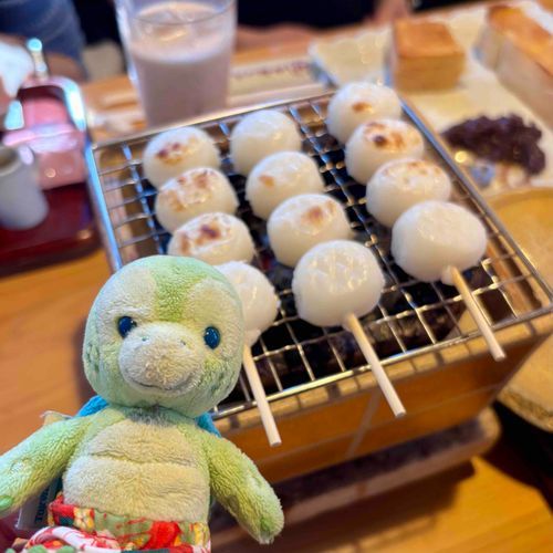 ぼく、やきたておだんごじゃないよ〜🍡