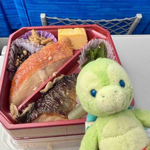 おさかなおいしいおべんとう❣️
ママ？ぼくまだかえりたくないよ🥺