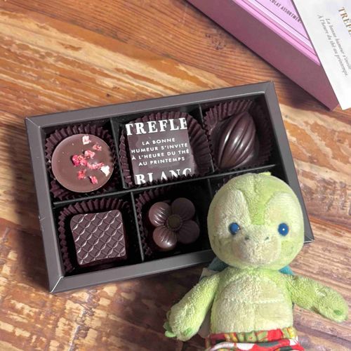 ぼく抹茶のトリュフチョコじゃないよ〜