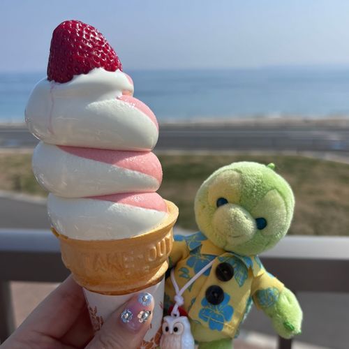 みんな〜、春だねえ☘️うみを見ながらいちごのアイスをたべたよ🍓なんだかぼくのふるさとをおもいだしたんだ💭🐢🏝️