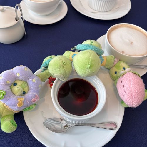 プリン❣️プリン❣️🍮✨🐢🐢🐢🐢