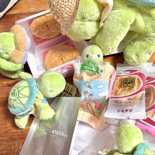 ねえみんなきいて‼️ママがさ、ぼくをおいて静岡にりょこうにいってきたんだって‼️大雨だから、ぬれるといけないからおるすばんにしたっていうけど、ぼくほんとにかなしかった。おみやげぜ〜んぶもらっちゃうからね😤